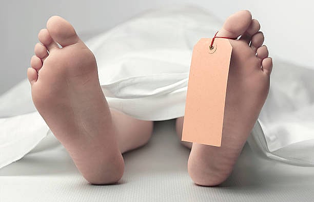 Seven dead as truck falls into valley in Tamil Nadu
