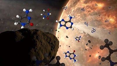 Asteroids may have brought key building blocks of DNA, RNA: Study