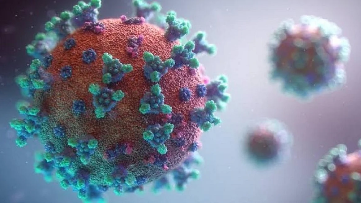 Researchers elucidate molecular structure of endodomain of Covid's spike protein