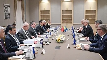 'Finland, Sweden's NATO bids won't progress unless Turkey's concerns addressed'
