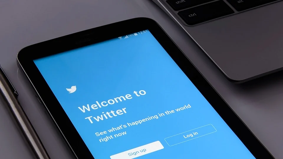 Two Managers fired from Twitter amid Musk buyout turmoil