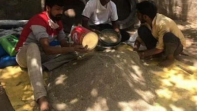 Remarkable 'ant cities' in Rajasthan provide lessons in environmental protection