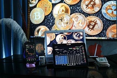Young investors in panic mode after TerraUSD, Luna crypto crash