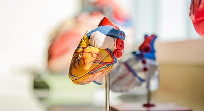 How stress ups risk of cancer, heart disease
