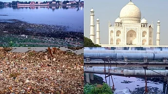 Taj Mahal still not safe from pollution: Experts