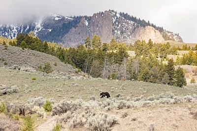 Yellowstone National Park reopens after unprecedented flooding