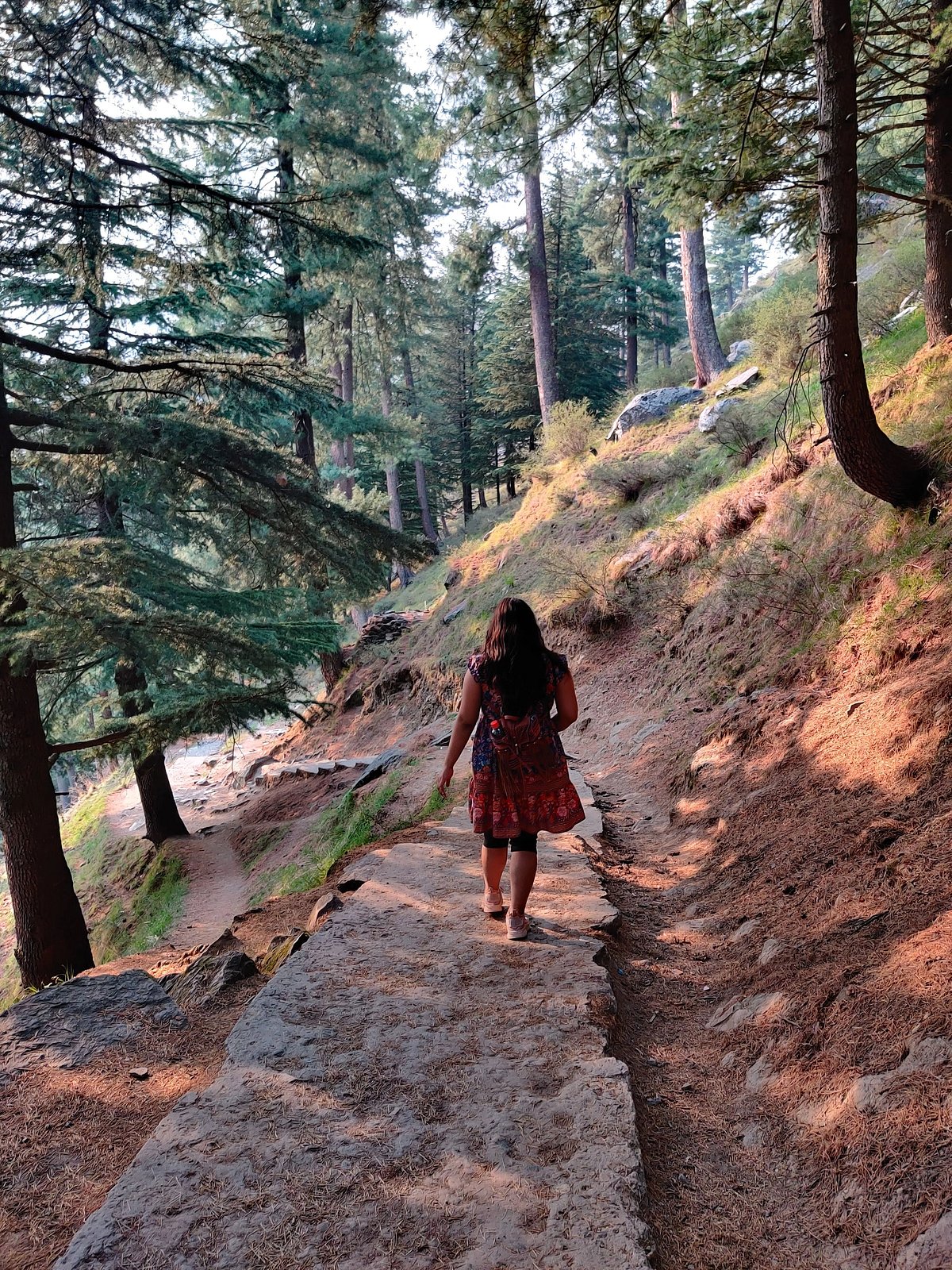 Safe, calm and idyllic Manali deceptive, hides strong undercurrents 