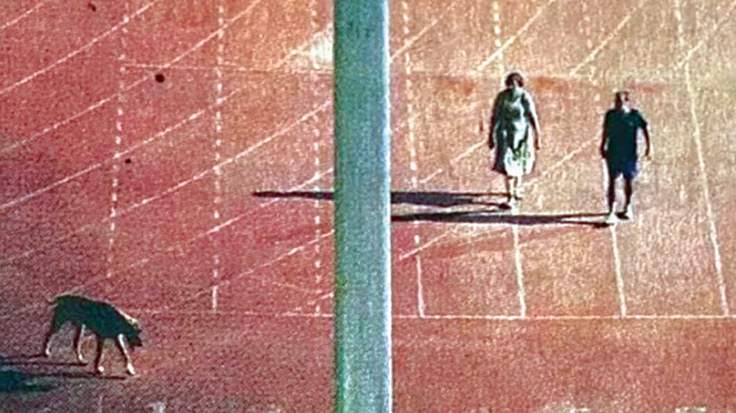IAS officers walking the dog inside the stadium