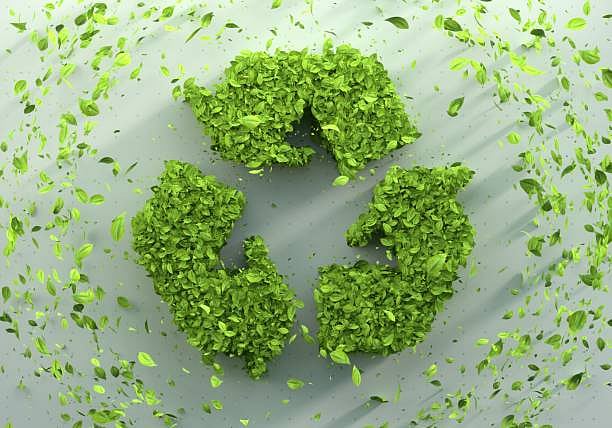 Superworms with a taste for plastic could help revolutionise recycling