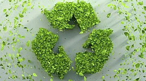 Superworms with a taste for plastic could help revolutionise recycling