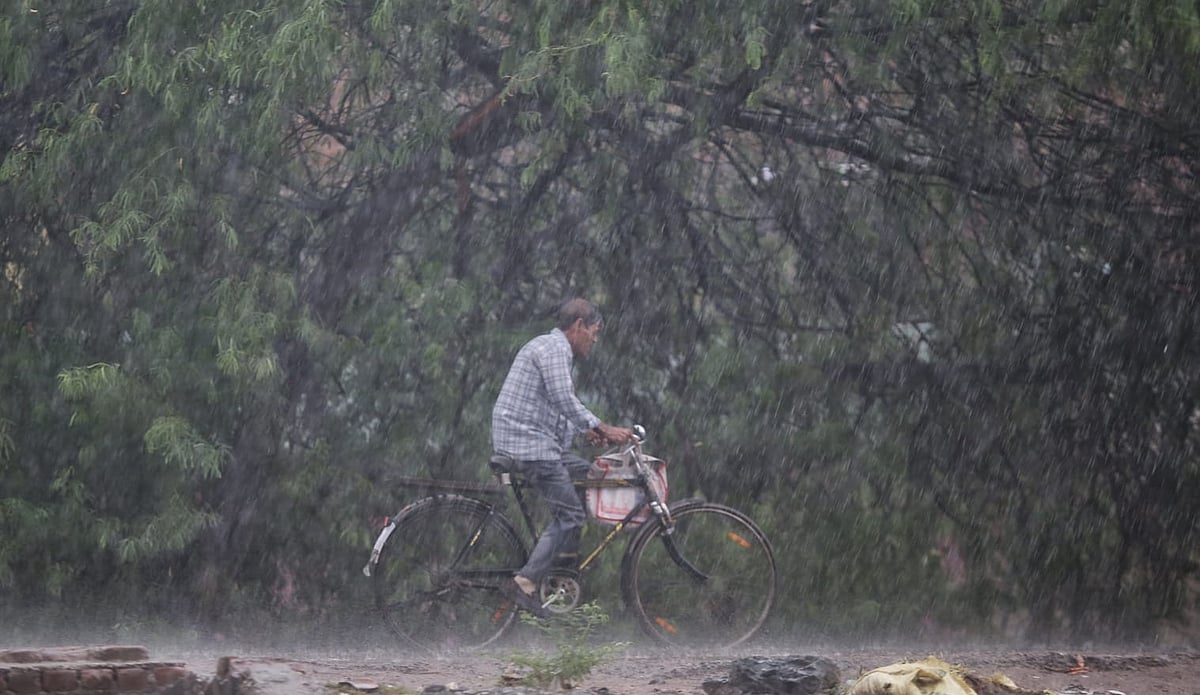 Heavy rainfall in parts of Rajasthan; Bhungra records 203 mm rains