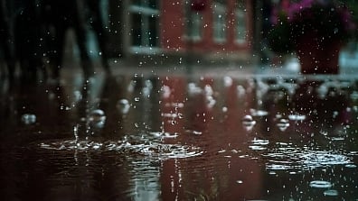 Overall warming to increase, number of heavy rainfall days to increase in NE: study