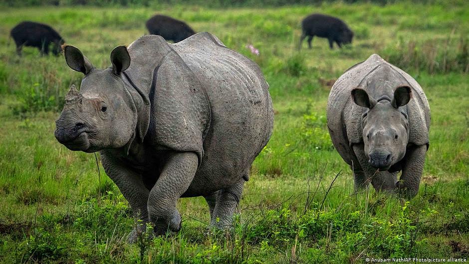 Representational image (NH file photo)