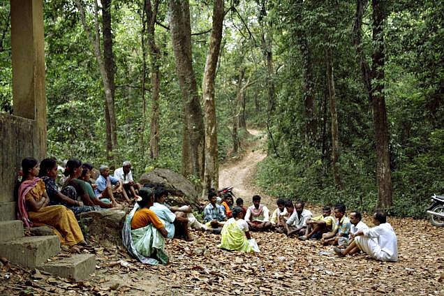 New Forest Conservation Rules: Correcting injustices or paving the way for more?