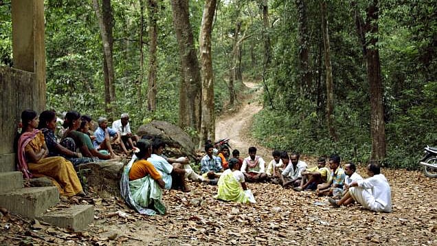 In most cases, forest dwellers and tribals have been cultivating the land for several generations