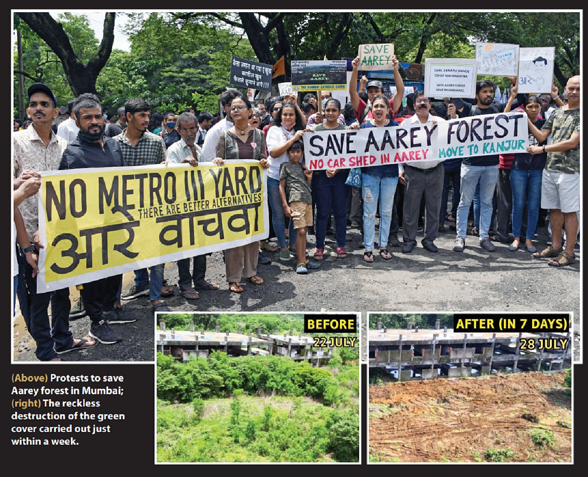 Fadnavis Govt planned commercial activities in Aarey forest in Mumbai