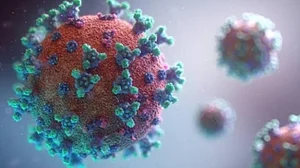 Explained: How Covid-19 infection damages brain