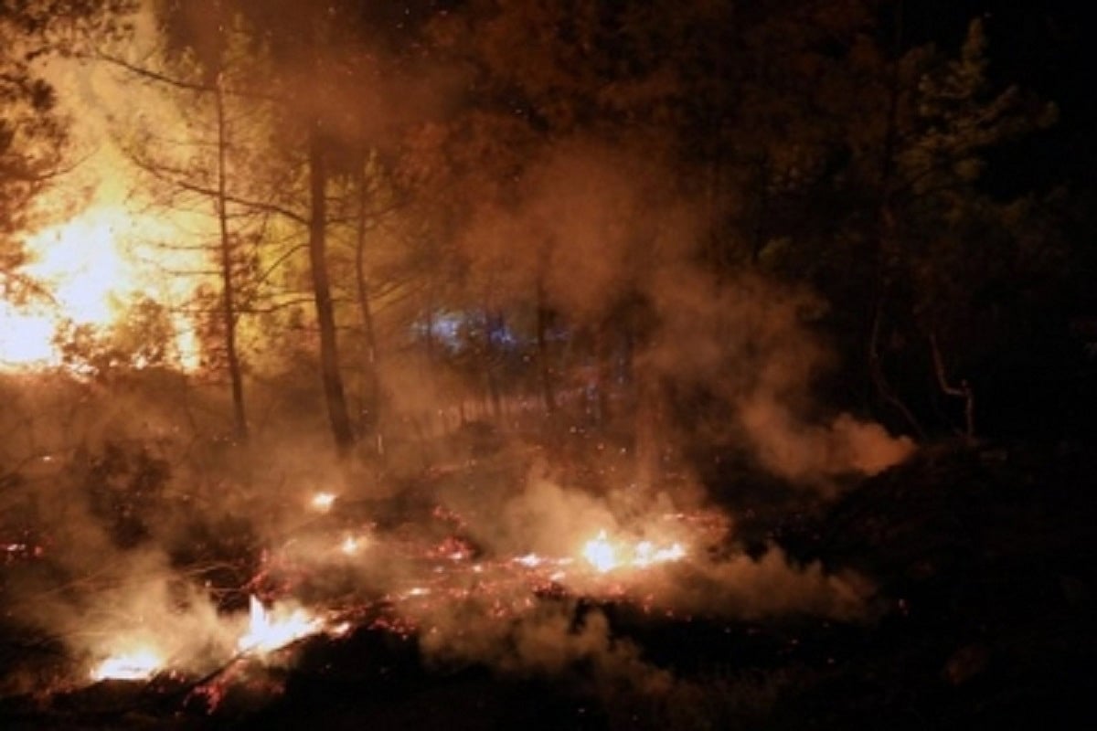 US: Wildfires in Utah scorching tens of thousands acres of land