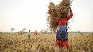 Lag in Kharif sowing: Uneven monsoon to be blamed but no reason to panic yet, say experts