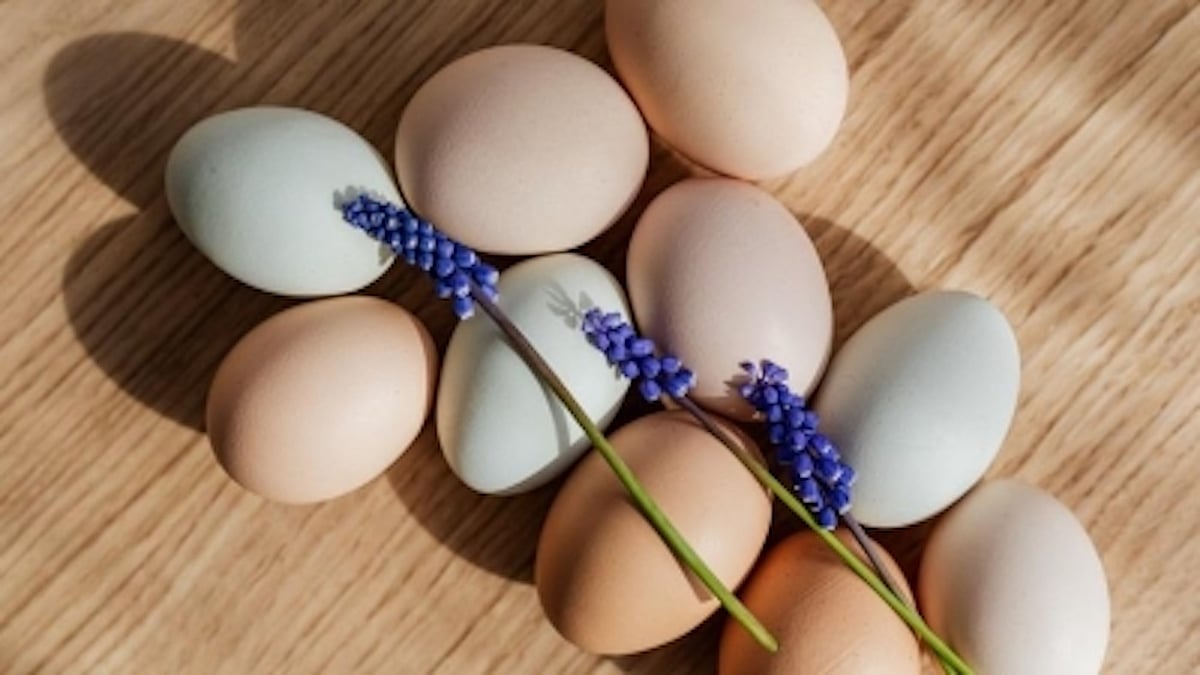 Are you eating an egg-cellent breakfast?