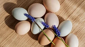 Are you eating an egg-cellent breakfast?