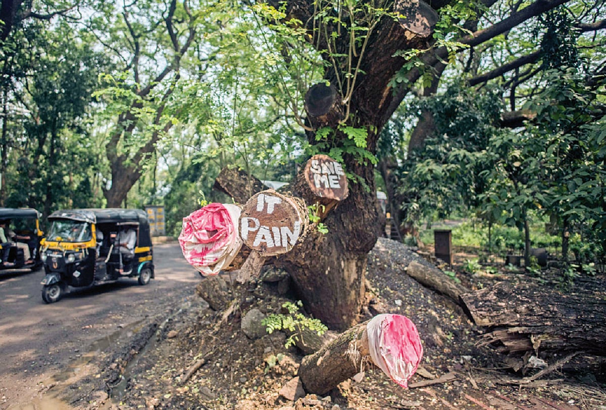 Aarey undoubtedly is a forest and CM Eknath Shinde an ‘honest’ man
