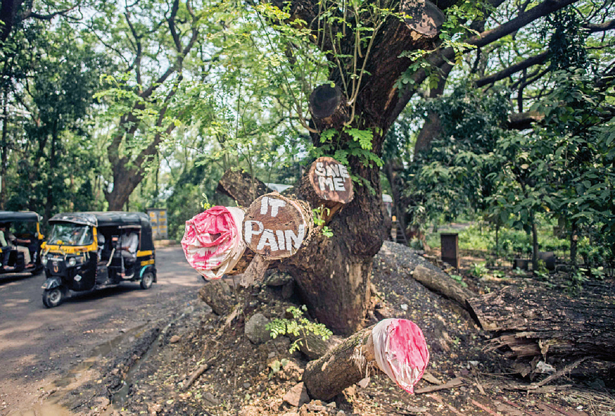 Aarey undoubtedly is a forest and CM Eknath Shinde an ‘honest’ man