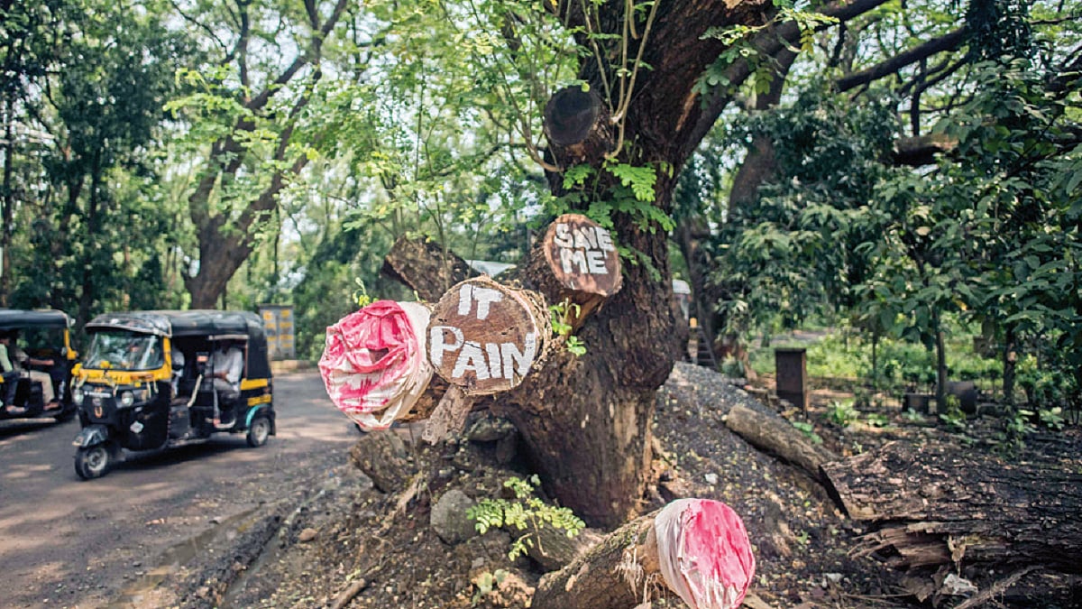 Aarey undoubtedly is a forest and CM Eknath Shinde an ‘honest’ man