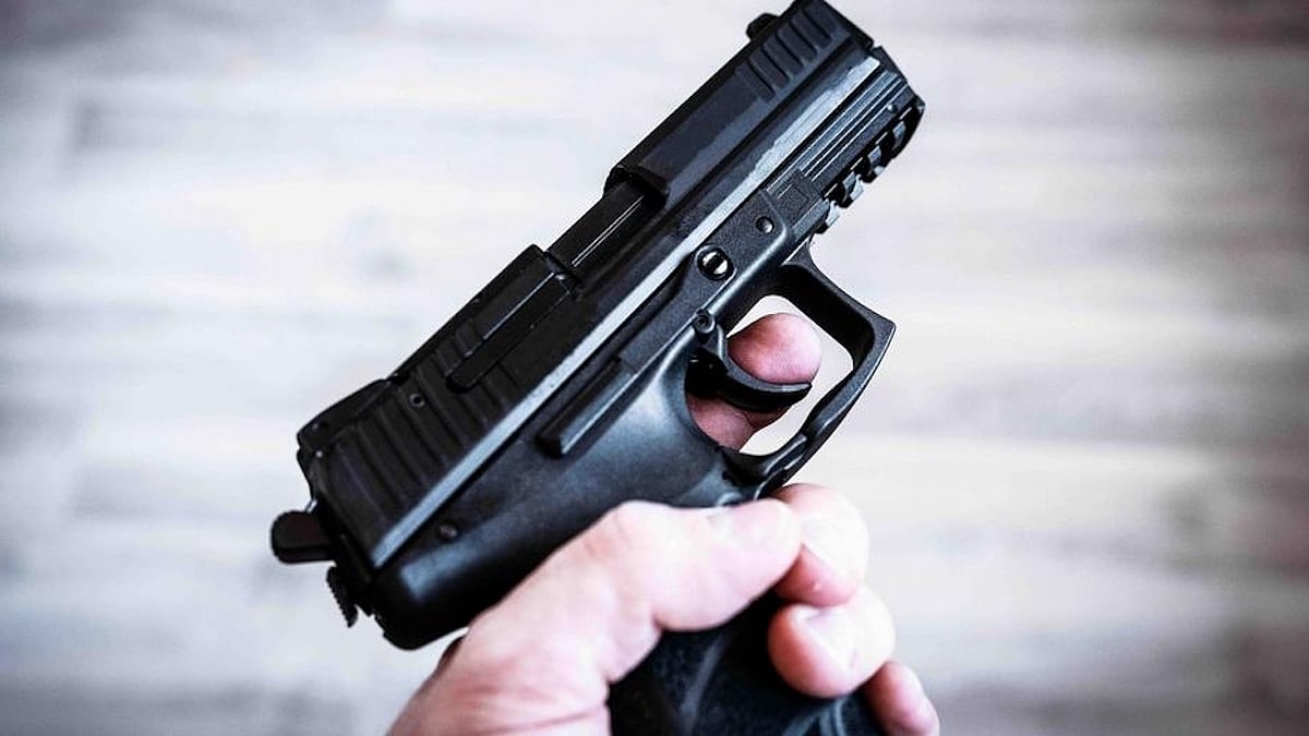 Delhi: 45 hand guns seized from 2 passengers at IGI