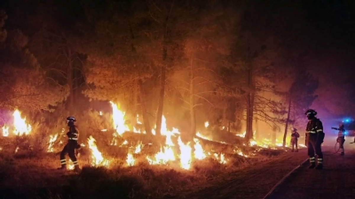Over 4,000 hectares of land destroyed in wildfires in Spain