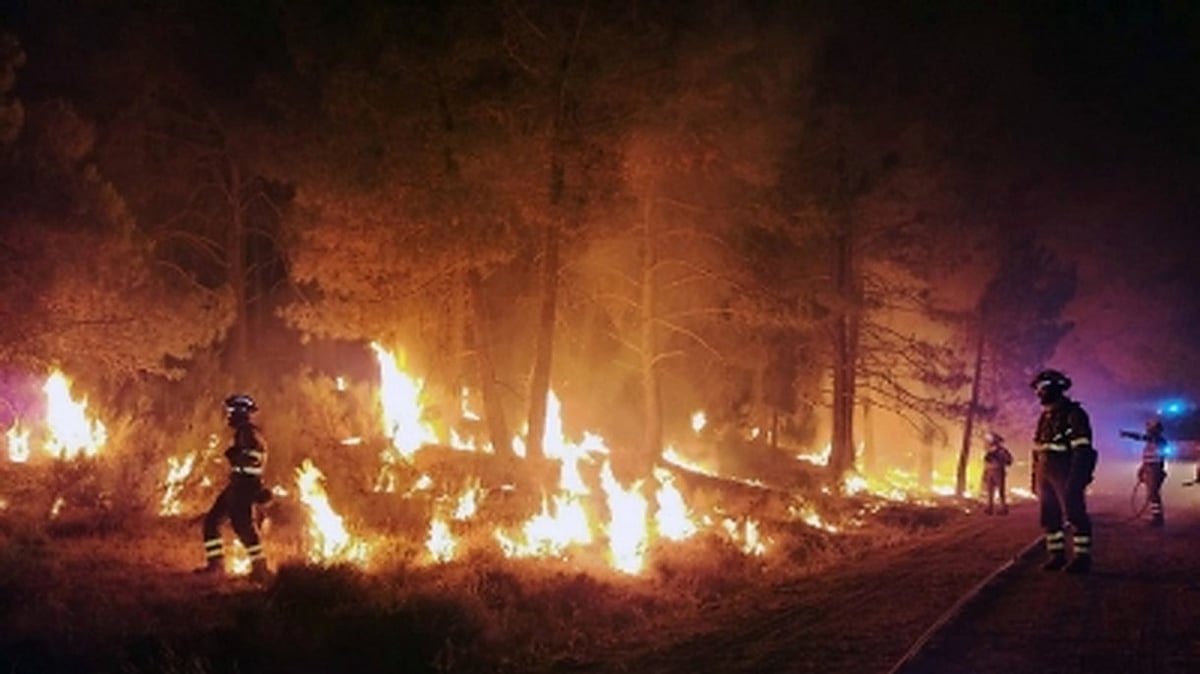 Over 4,000 hectares of land destroyed in wildfires in Spain