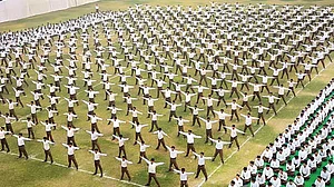 Why RSS is not displaying its love for the national flag that it does not feel