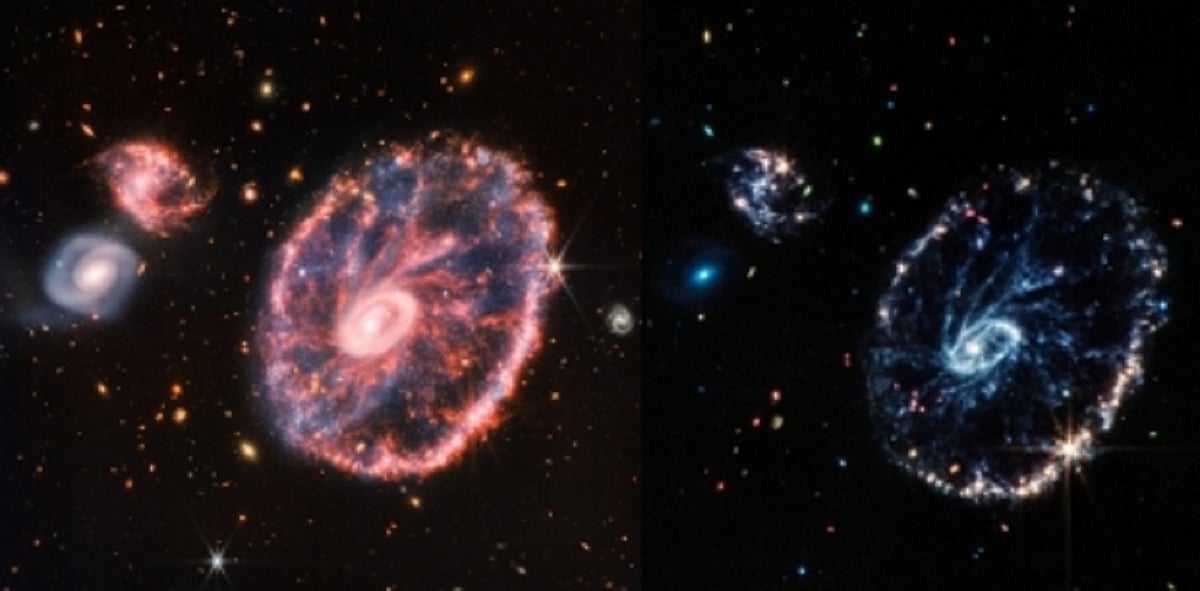 Webb telescope images colourful Cartwheel Galaxy