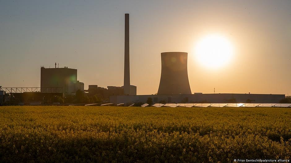 NTPC to mix bamboo and coal in Solapur thermal plant for clean energy