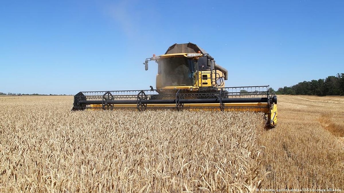 Govt puts restrictions on export of wheat flour