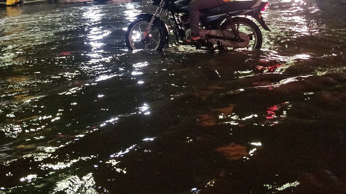Heavy rains lash Pune, water-logging, tree fall incidents reported