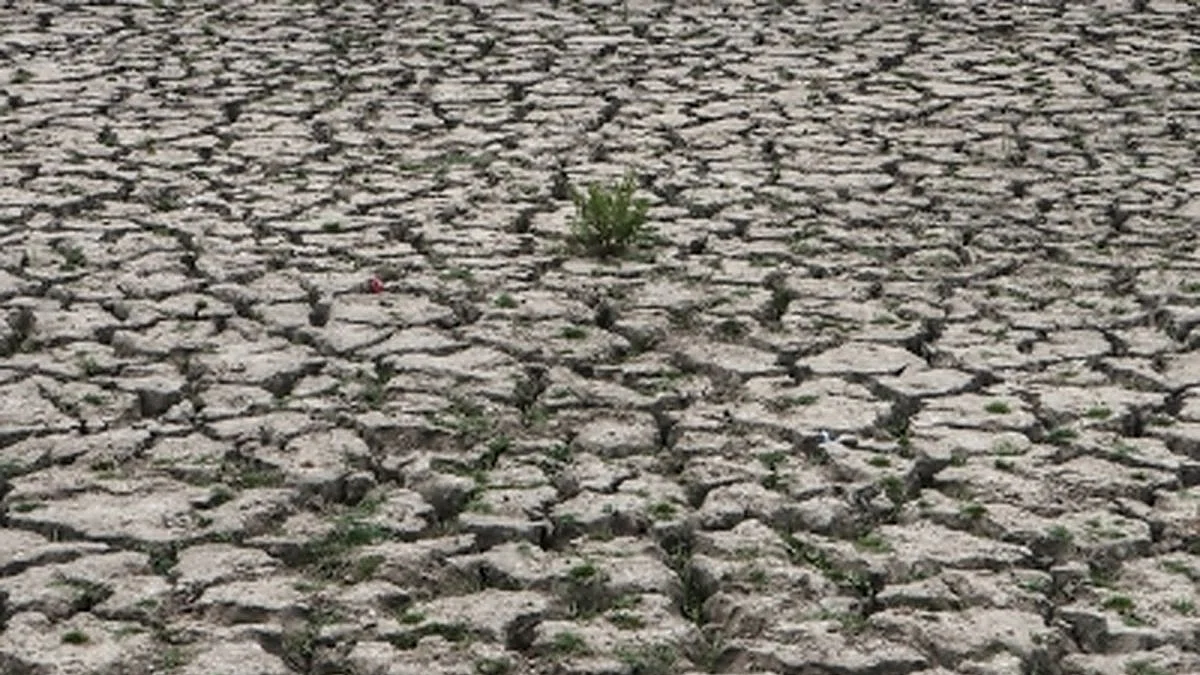Warming may lead to more frequent, longer-lasting droughts in India: Study