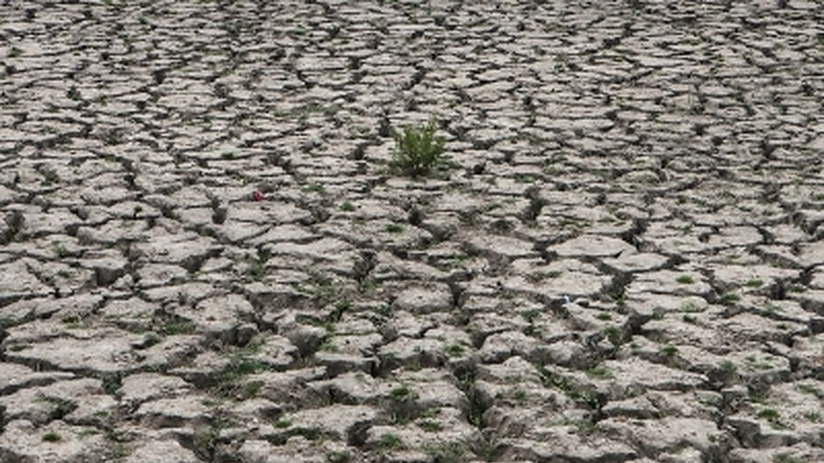 Warming may lead to more frequent, longer-lasting droughts in India: Study