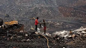 Coal smuggling scam: Calcutta HC rules out parallel probe by CID West Bengal