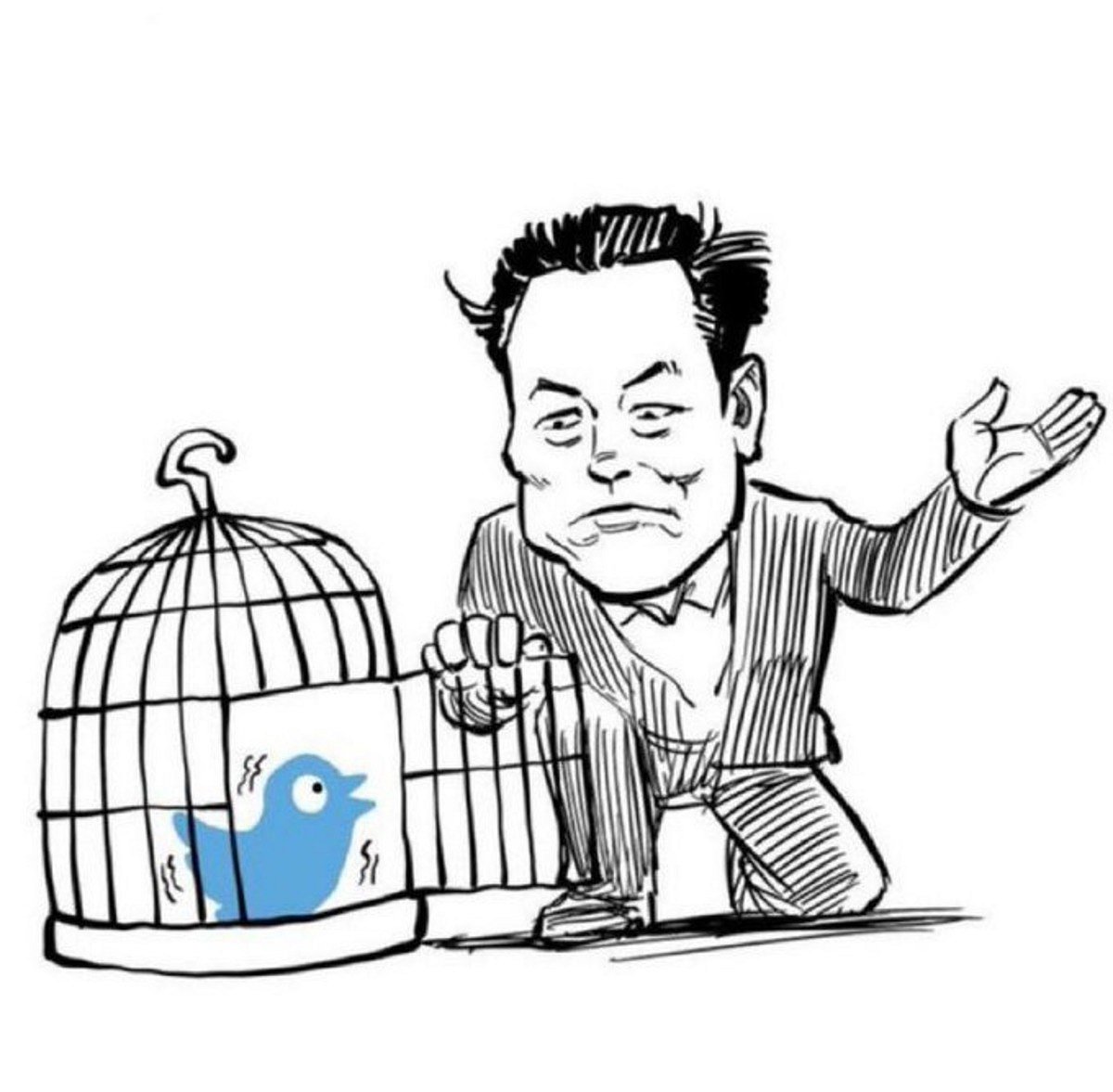 Elon Musk's acquisition of Twitter stirs excitement, consternation among users