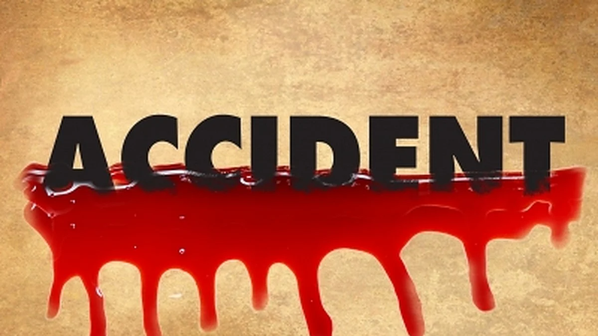 4 killed in Ladakh road accident