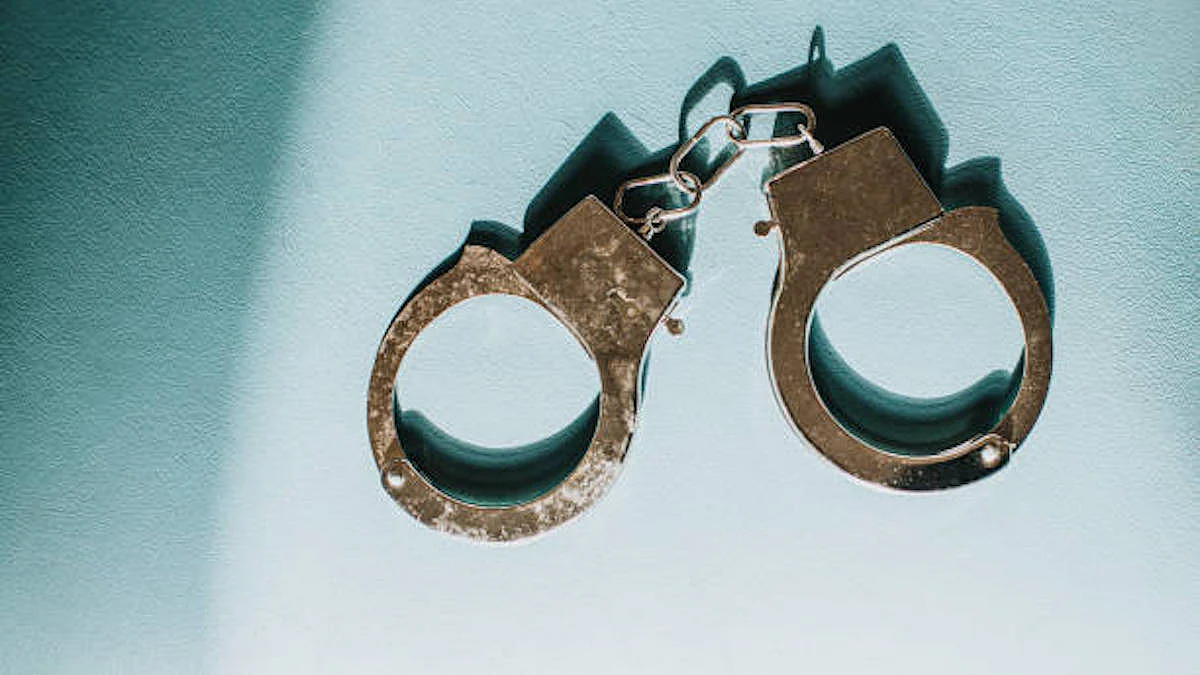 After human sacrifice case, Kerala woman detained for running black magic centre