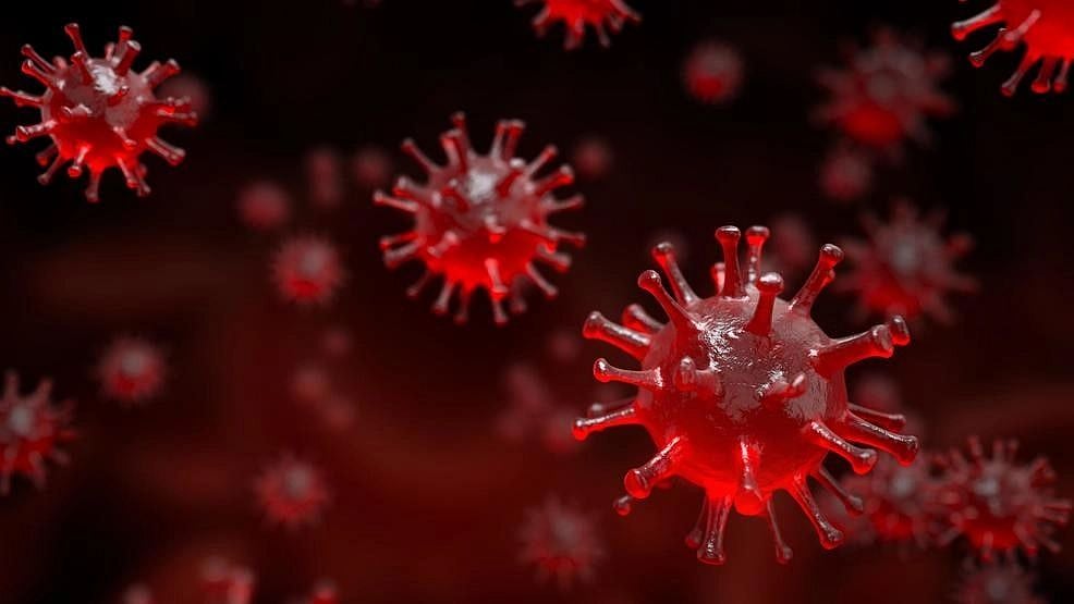 New highly-mutated Covid variant has put researchers on high alert
