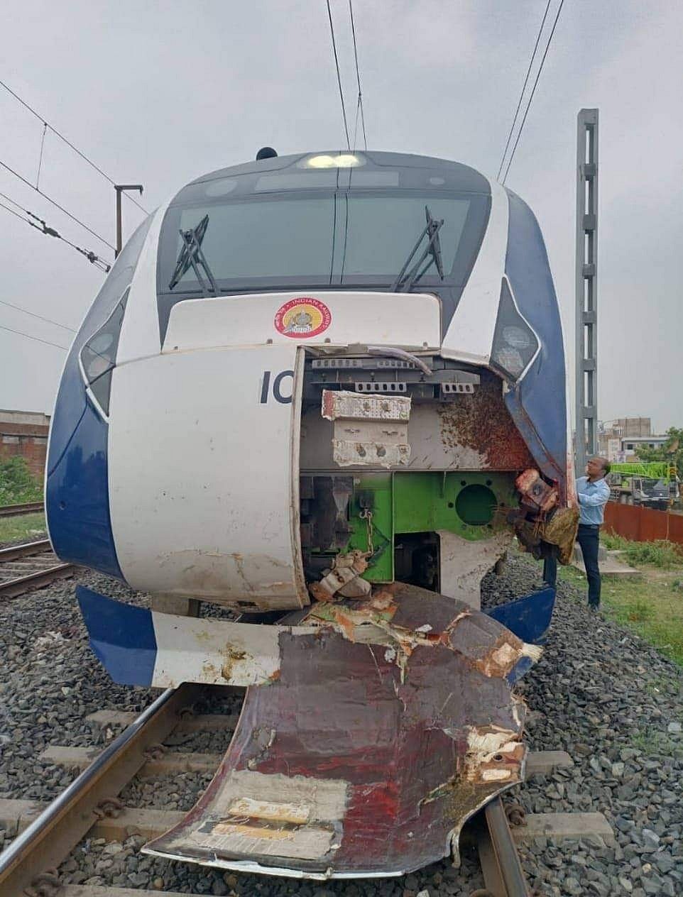 Gujarat: Newly launched Mumbai-Gandhinagar Vande Bharat train suffers minor damage after hitting buffaloes