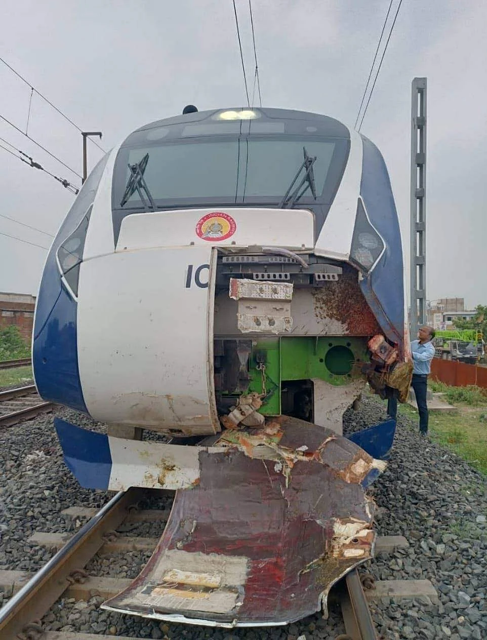 Gujarat: Newly launched Mumbai-Gandhinagar Vande Bharat train suffers minor damage after hitting buffaloes