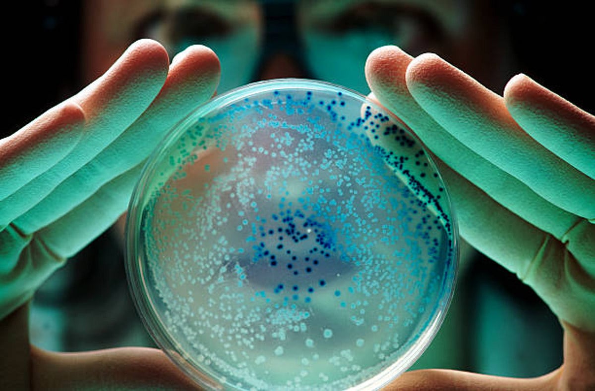 Five bacteria types claimed 6.8 lakh lives in India in 2019: Lancet study