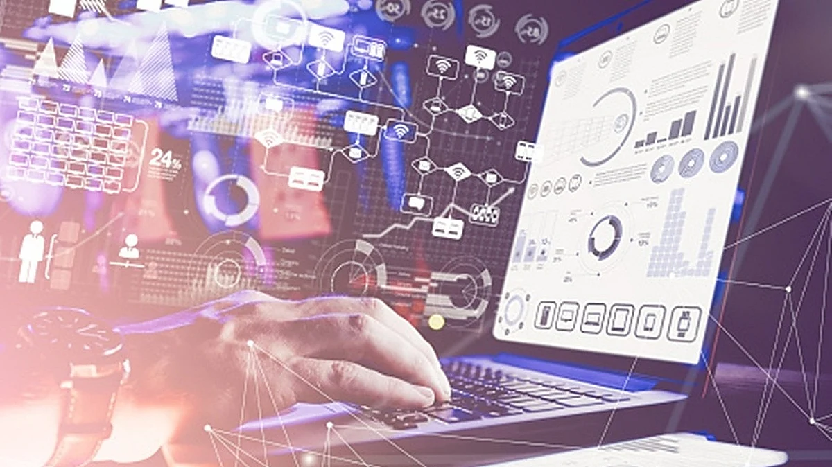 IT Sector