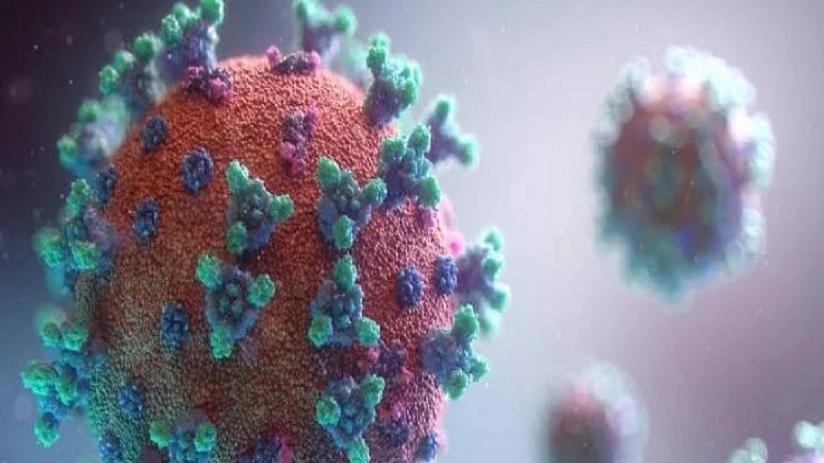 COVID-19 infection disrupts gut microbe balance, especially with antibiotics: Study
