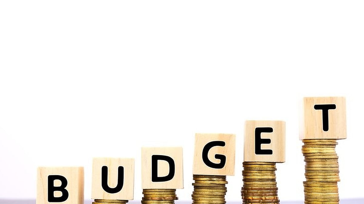 Pre-budget consultations make finance ministry officials no wiser 