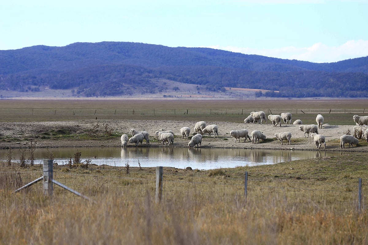 Australia facing more heat, droughts: Climate report